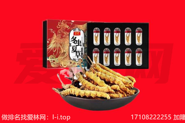 浑源县回收虫草.jpg